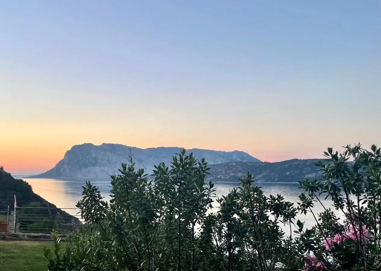 San Teodoro Punta Est Magnifico Trilocale Vista Mare Apartment Capo Coda Cavallo