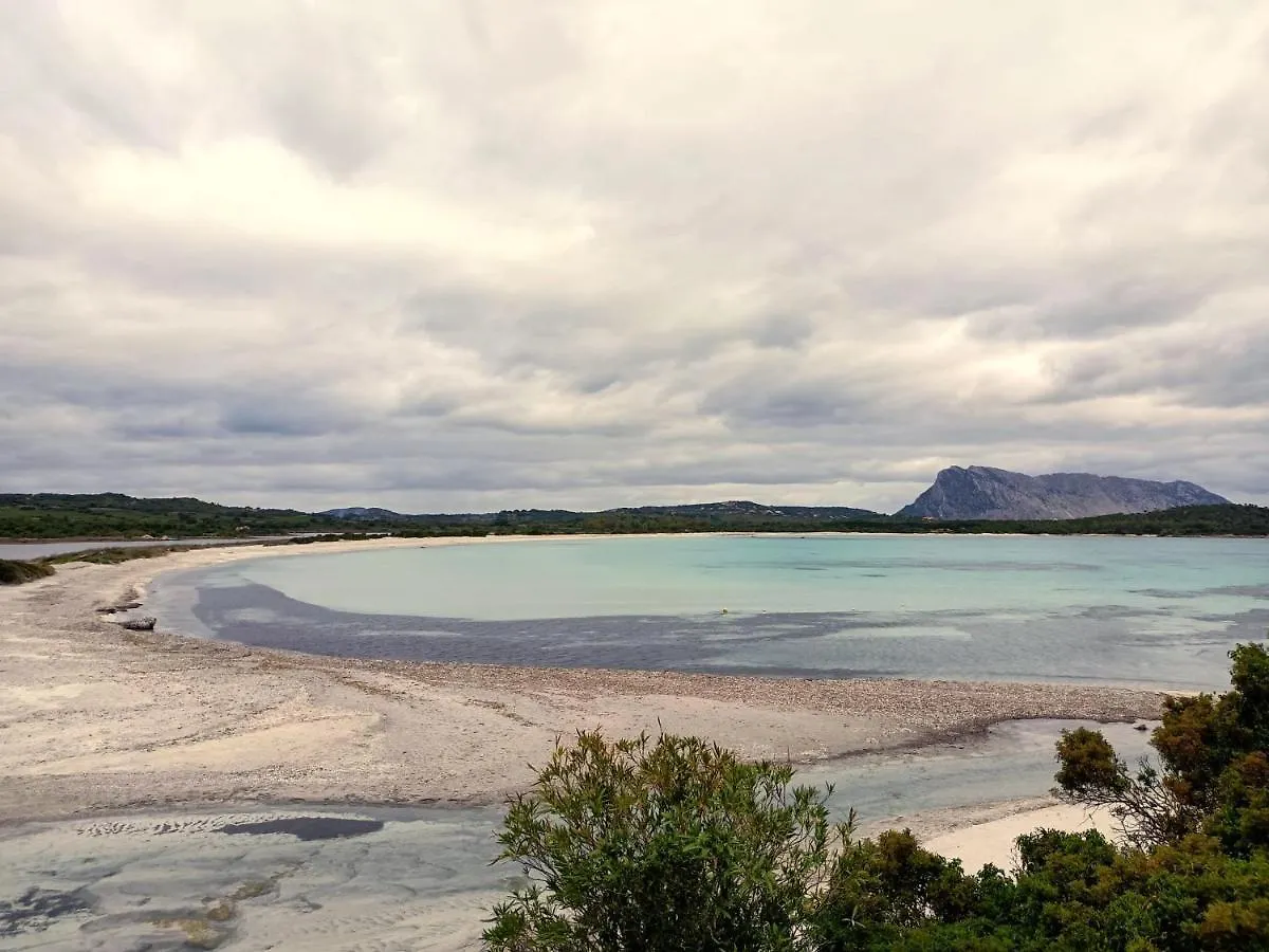 San Teodoro Punta Est Magnifico Trilocale Vista Mare Apartment Capo Coda Cavallo