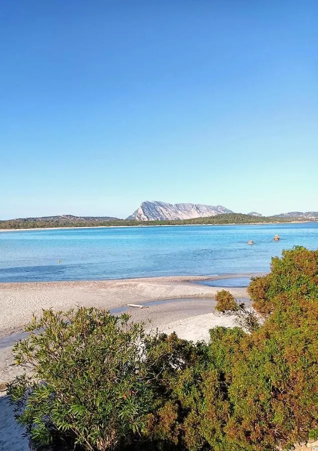 San Teodoro Punta Est Magnifico Trilocale Vista Mare Apartment Capo Coda Cavallo